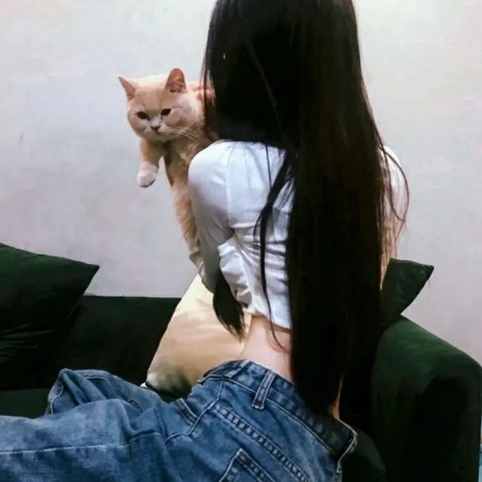 姊妹艳传
